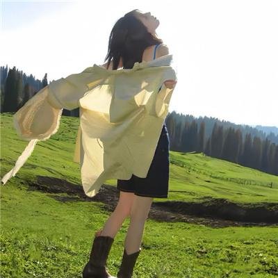 三个火枪手:达达尼昂